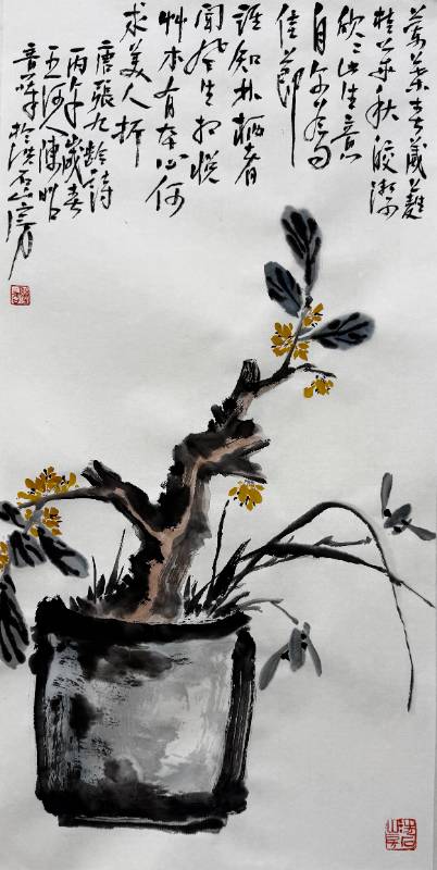 陈昭新作2